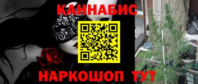 МДПВ Кингисепп