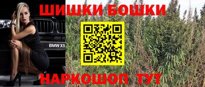 МДПВ Кингисепп