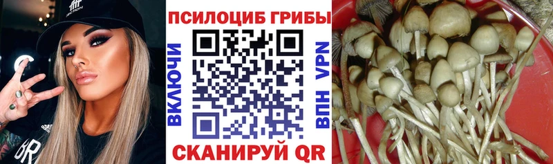 Псилоцибиновые грибы Cubensis  Кострома 