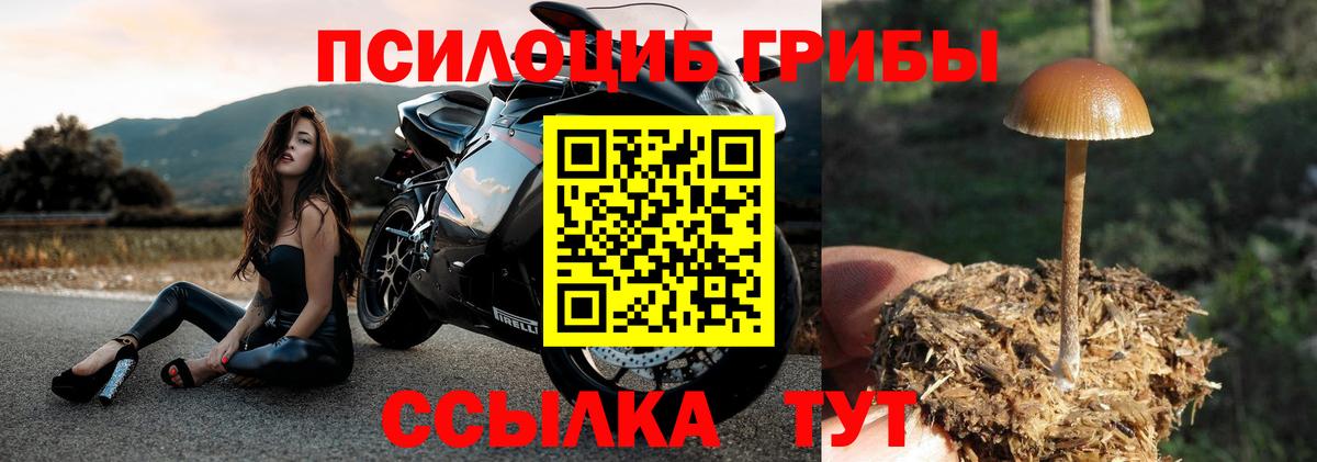 Галлюциногенные грибы мухоморы Кострома
