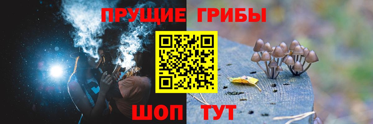 Галлюциногенные грибы Cubensis  Вход с VPN  Кострома 